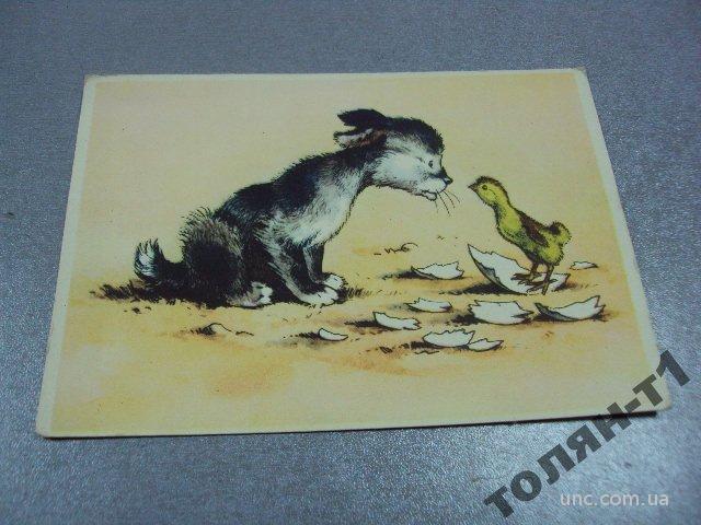 открытка карлов цыпленок и щенок 1958  №7512