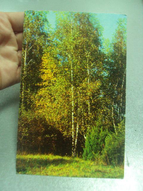 открытка киев ботанический сад  №1091