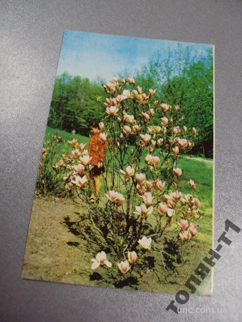 открытка киев ботанический сад 1975