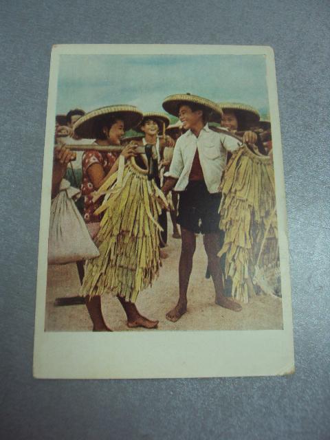 открытка кнр молодые строители на острове хайнань 1957 №4545