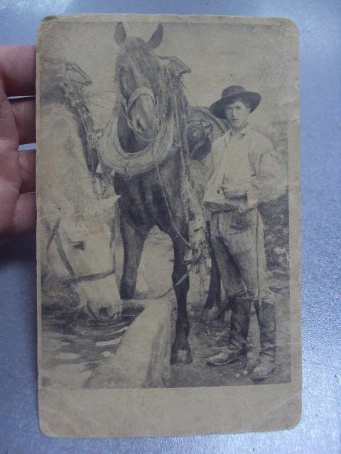 открытка конюх с лошадьми №1616