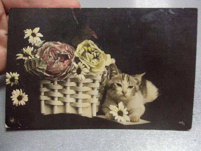 открытка  кошка с корзиной цветов №1379