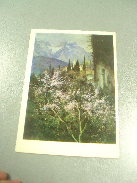 открытка крачковский миндаль в цвету 1980 №13655м