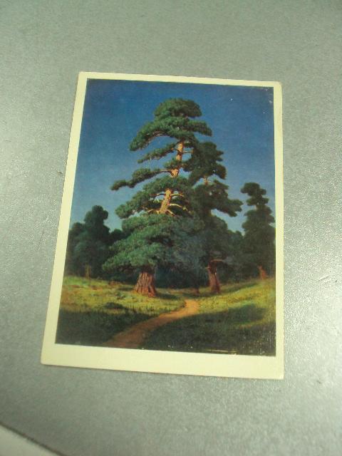 открытка куинджи сосна 1980 №13654м