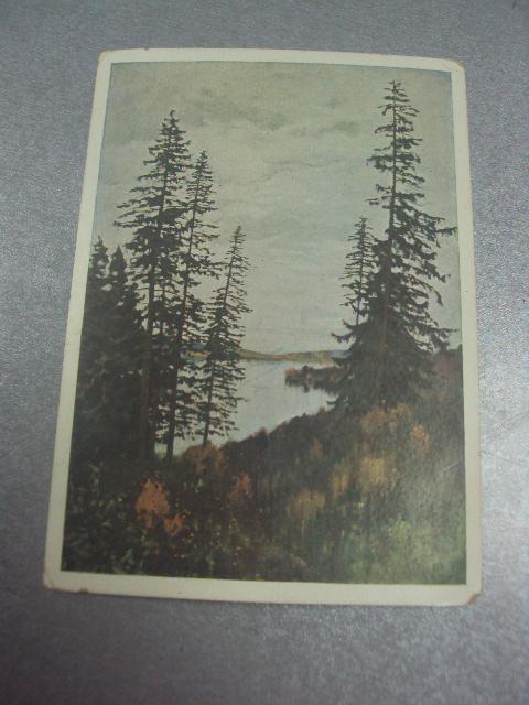 открытка левитан сосны №681