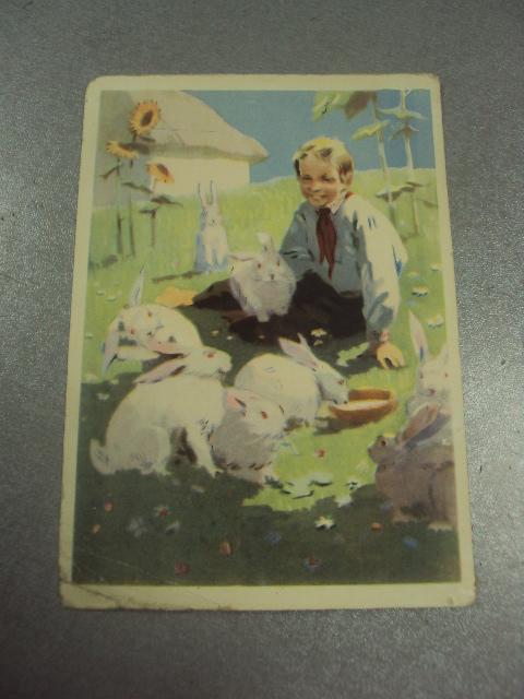 открытка мальчик с кроликами 1956 старов №15649м
