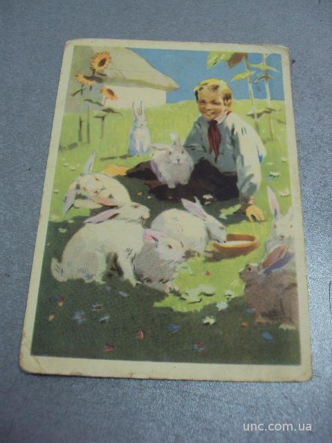 открытка мальчик с кроликами старов 1956 №3262