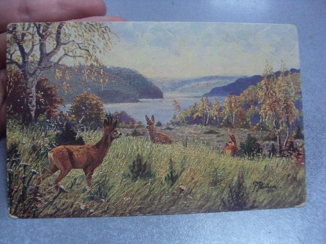 открытка олени в лесу 1917 №1478