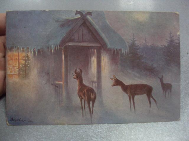 открытка олени зимой рахны-лесовые райгород подольская губерния 1914 №1482