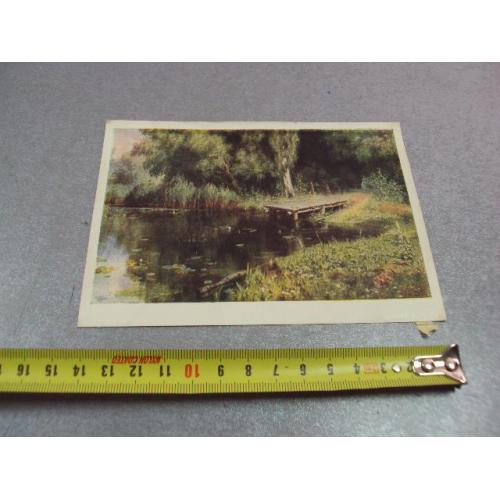 открытка поленов заросший пруд 1959 №12411