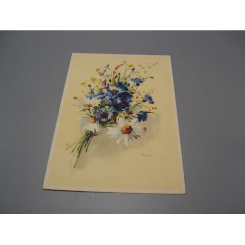 Открытка полевые цветы букет васильки ромашки гдр Германия чистая №18706ч