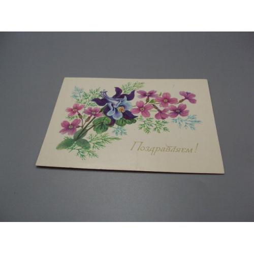 Открытка Поздравляем! цветы 1980 год худ. А. Соколова ссср №18705ч