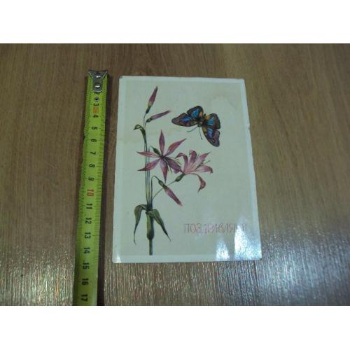 Открытка Поздравляю! цветы бабочка художник Н. Савельева 1989 год №18657