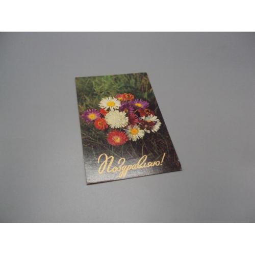 Открытка Поздравляю! цветы полевые 1974 год худ. Б. Столяров ред. Печерский ссср чистая №18704ч