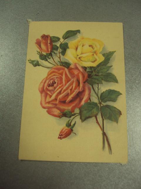 открытка  розы 1955 №11387м