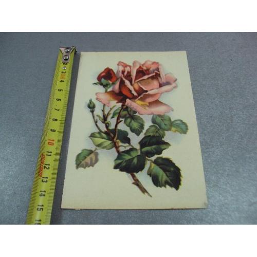 открытка розы 1963 таллин №12455