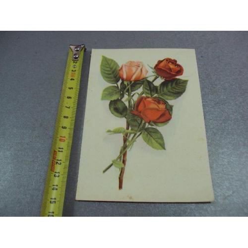 открытка розы 1963 таллин №12462