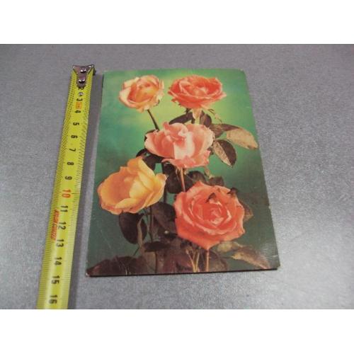 открытка розы 1982 костенко №10972
