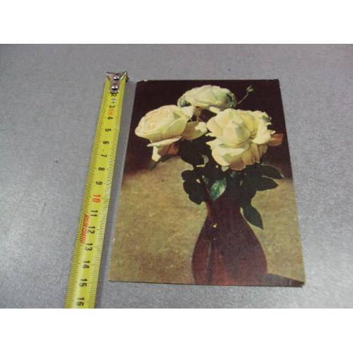 открытка розы чупринина украина №12443