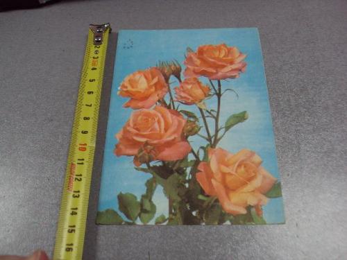 открытка розы френкеля 1978 №1709