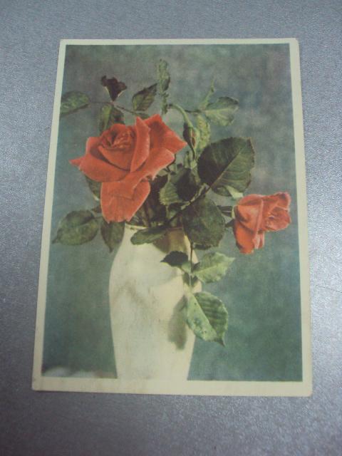 открытка самсонова цветы №676