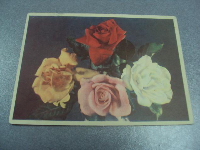 открытка самсонова цветы №743