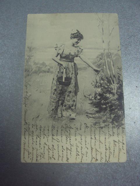 открытка сбор ягод выборг контиолахти 1904 №1553