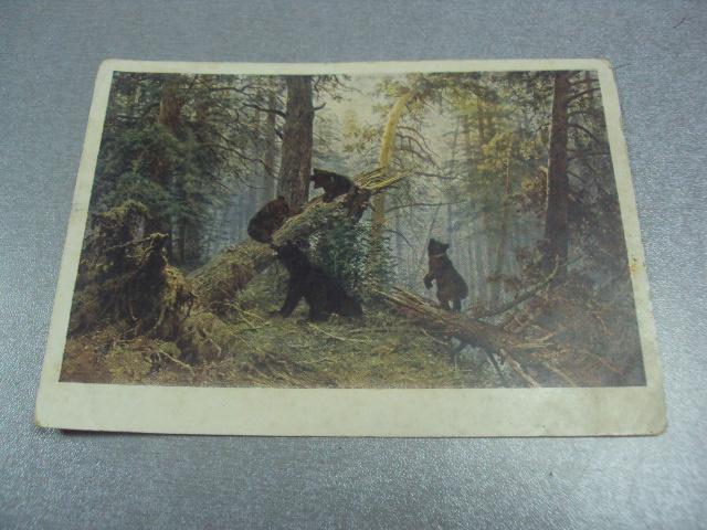 открытка шищкин медведи №712
