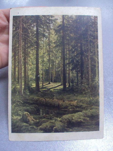 открытка шишкин лес №701