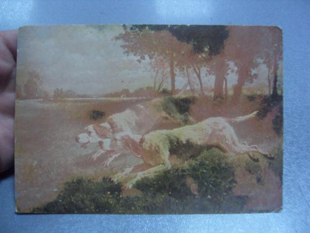открытка собаки на охоте №1664