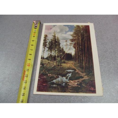 открытка соврасов поселок в сосновом лесу 1959 №12418