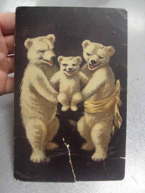 открытка три медведя золотоноша с.петербург 1911  №1601
