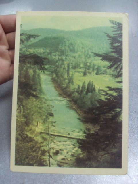 открытка яремче река прут №1156
