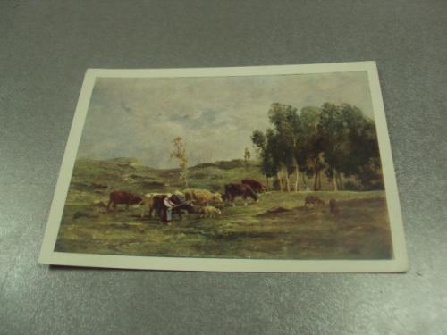 открытка жак пастушка со стадом в поле 1960 №14729м