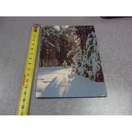 открытка зимний лес 1986 пушкина №10354