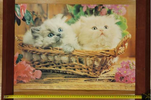плакат котята в корзине 59х40 см №10199