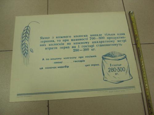 плакат нет утратам зерновых хмельницкий 1976 №9797