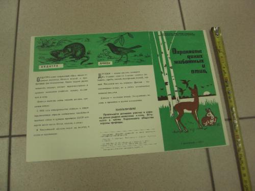 плакат охраняйте диких животных  хмельницкий 1972 №9717