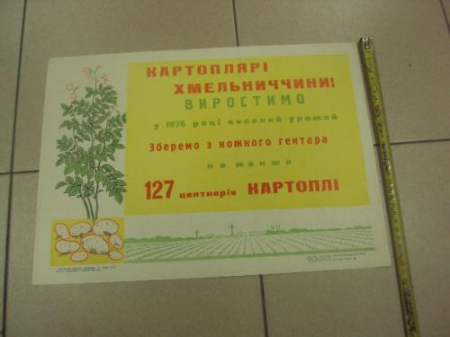 плакат соберем высокий урожай картошки хмельницкий 1975 №9799
