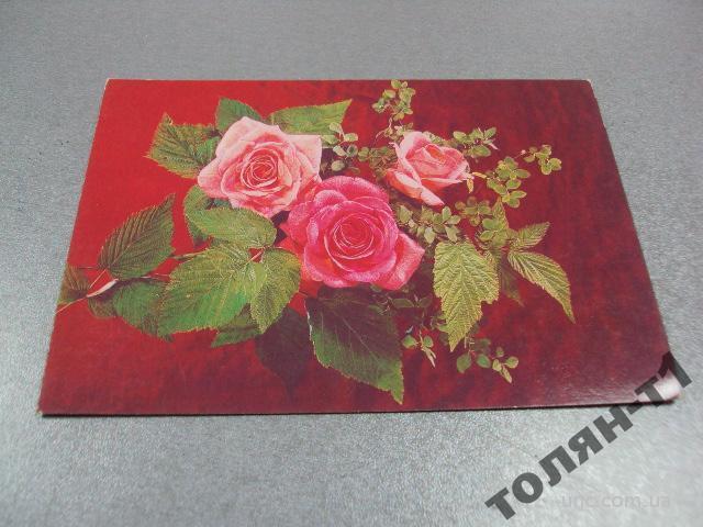 открытка розы дергилева 1987 №15633