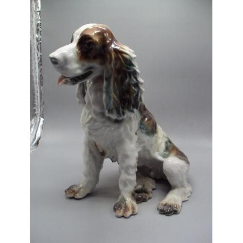 Фигура фарфор статуэтка собака кокер спаниель собачка большая высота 32,5 см №14259
