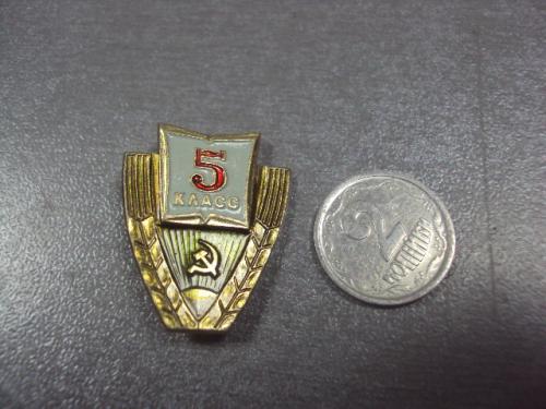 знак средняя школа 5 класс №11951