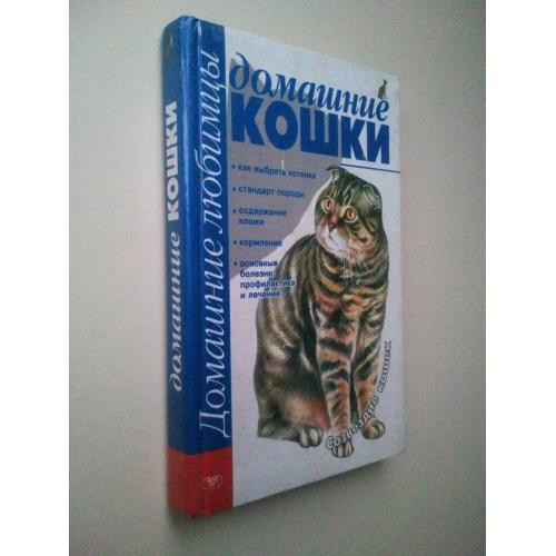 Домашние кошки.