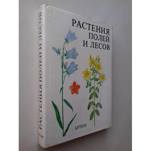 Растения полей и лесов. АРТИЯ.