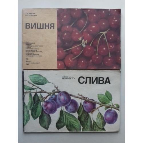 Вишня. Слива. Выращивание и уход.