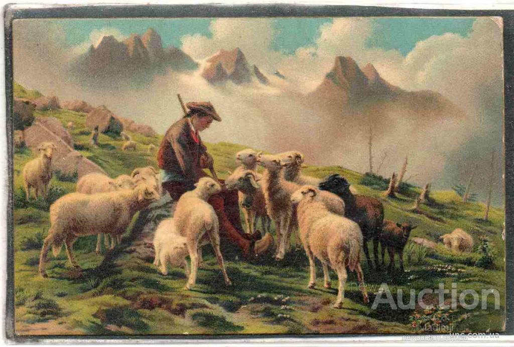 Стоковые фотографии по запросу Считать овец