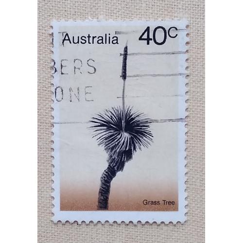 Австралия 1978 г - Ксанторрея: травяное дерево, гаш