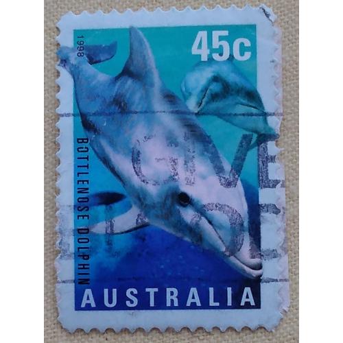 Австралия 1998 г - афалина (Bottlenose Dolphin), гаш