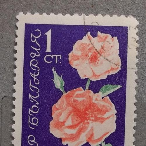 Болгария 1962 г - роза, 2 шт (см.фото)