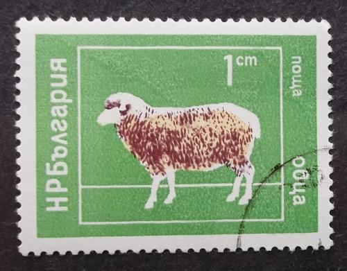 Болгария 1974 г - овца